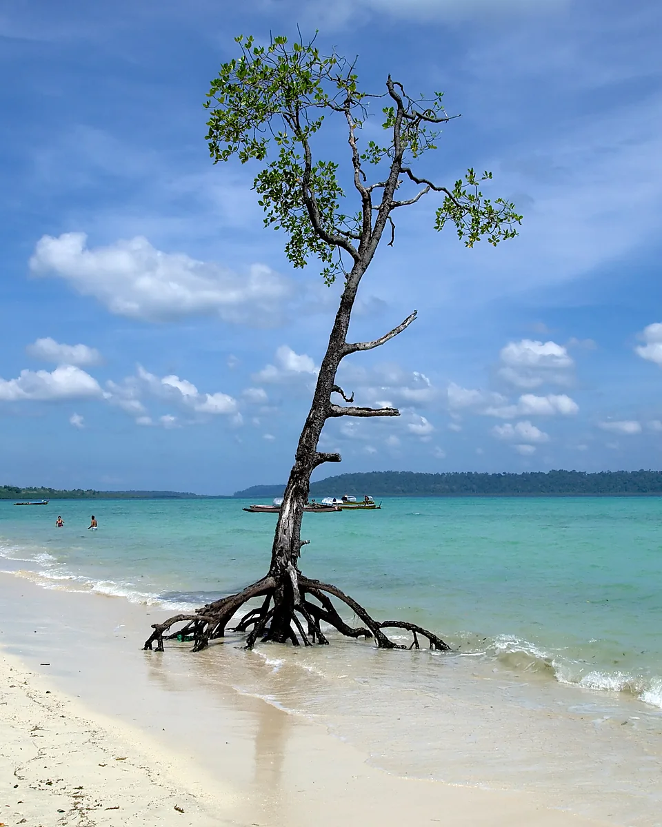 White sand, clear water and tropical forest on an Andaman beach; Andaman Island Days is customizable
