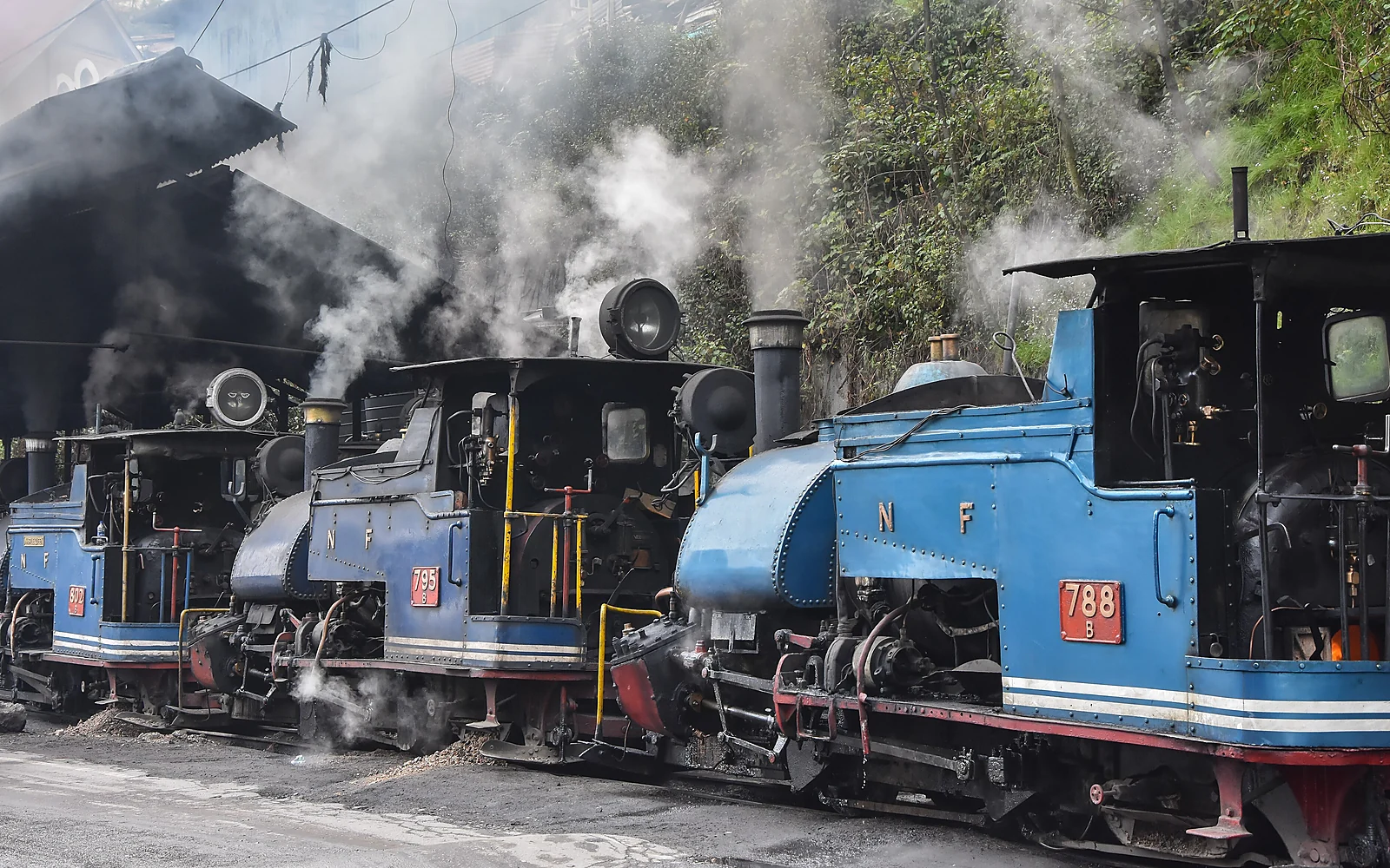 Mist moving across the green hills and town landscape of Darjeeling; Darjeeling Tea & Hill Days is customizable