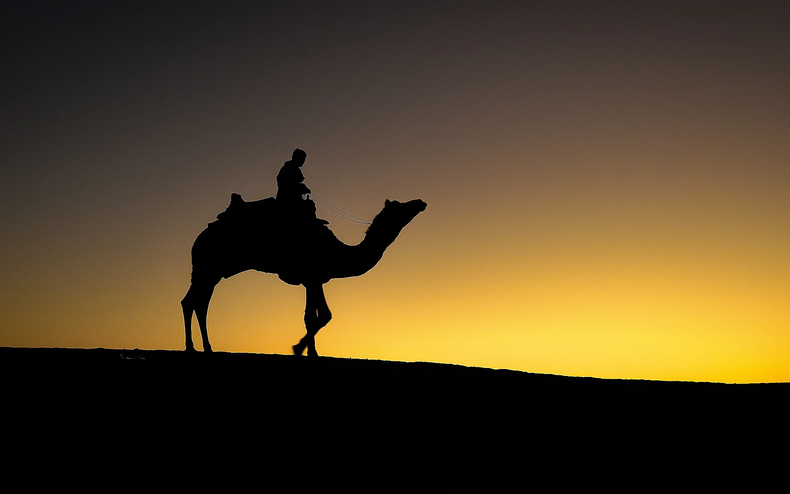 A camel cart crossing a desert dune in Rajasthan; illustration for How to Plan a Rajasthan Itinerary Without Rushing